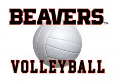 Beavers Volleyball Decal
