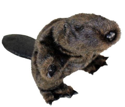 Beaver Hand Puppet