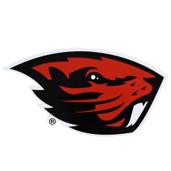 Jumbo Beaver Magnet