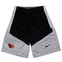 Youth Nike Black and Grey Beaver Shorts