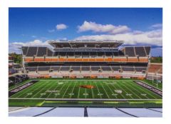 Souvenir Reser Stadium Postcard