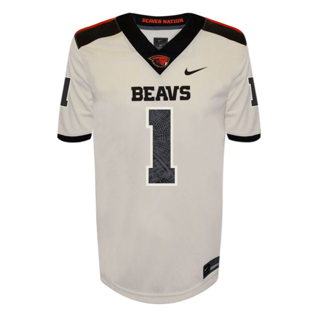 NFL Mens Apparel, Mens NFL Clothing, Merchandise