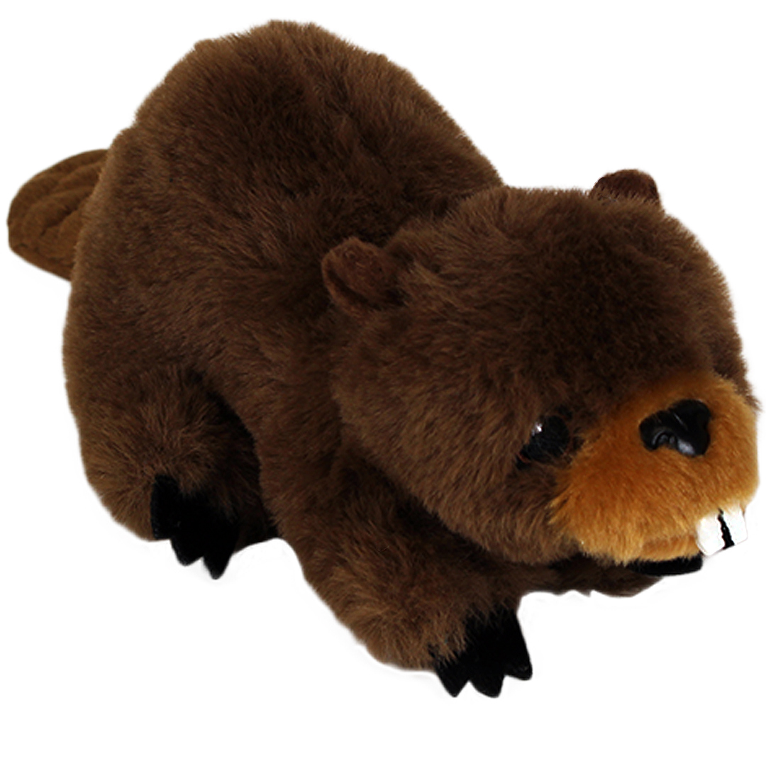 beaver stuffie