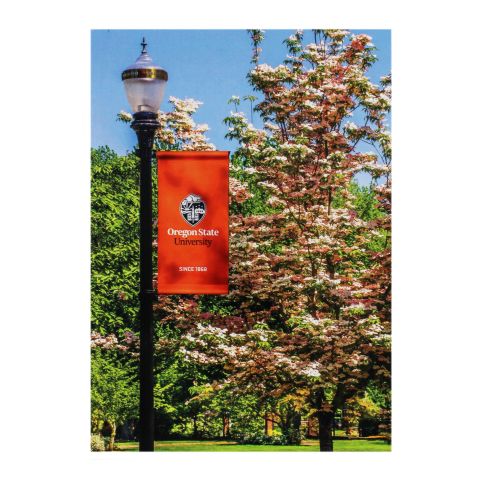 Oregon State University Crest Postcard