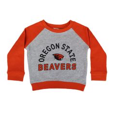 Toddler Champion Orange and Grey Raglan Sweatshirt with Beaver