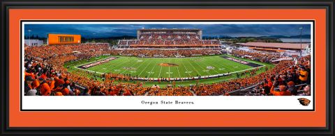 Deluxe Framed Reser Stadium Panorama