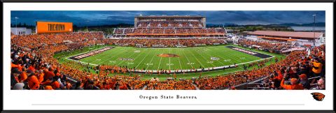 Standard Framed Reser Stadium Panorama