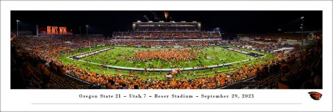 Storm The Field Reser Stadium Unframed Panorama